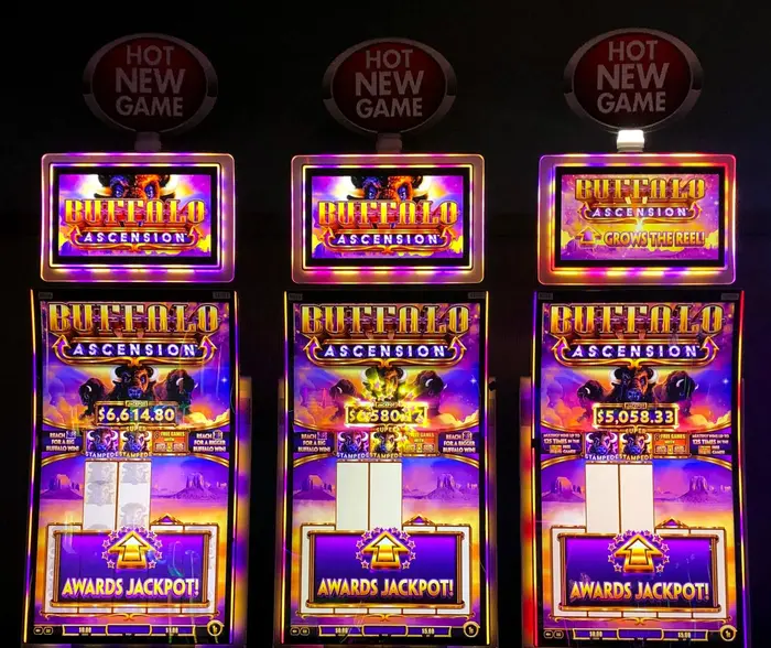 5 Best Slot Machines to Play at Miami Valley Gaming in 2024 5 Buffalo Ascension by Aristocrat